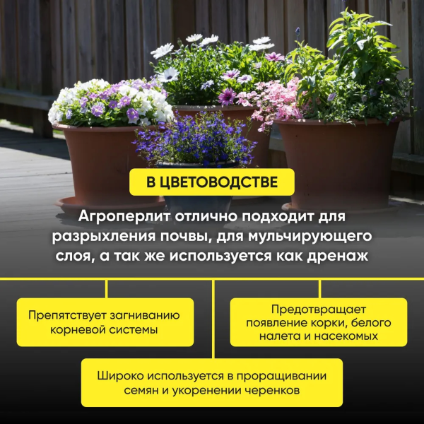 Перлит БиоМастер 2 л.