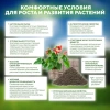 Почвобрикет БиоМастер Чудный лимон, 5л