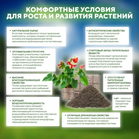Почвобрикет БиоМастер Чудный лимон, 5л