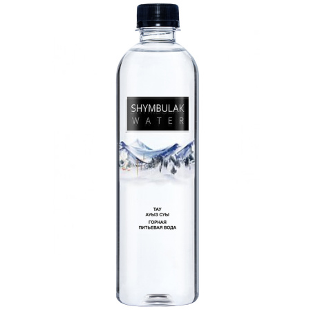 Shymbulak вода горная питьевая 0,5мл