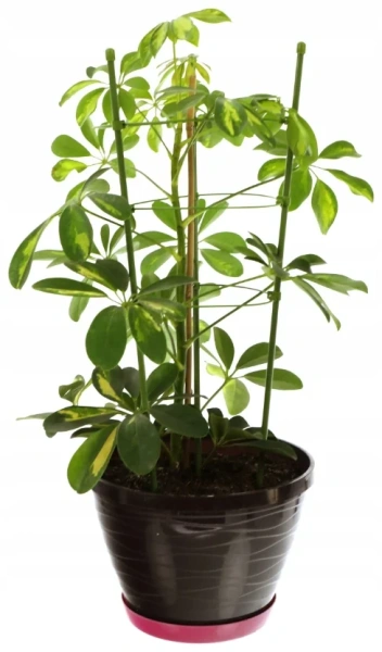 Опора для растений GardenLine 45 см DEN6522