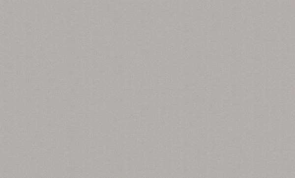 Обои RENOWA 589897 Natali (10,05*1,06)(6) виниловые с антивандальным эффектом