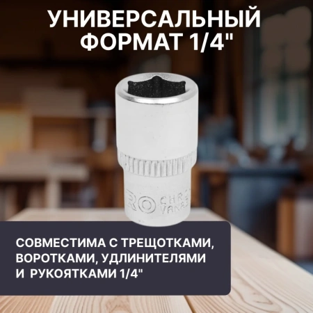 Головка 1/4" 10мм 6гр. PRO STARTUL (PRO-54010)