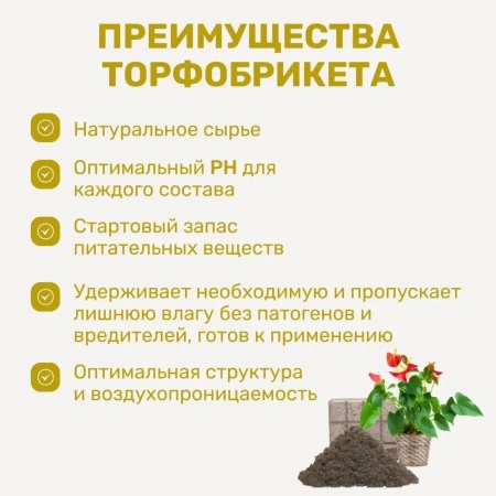 Почвобрикет БиоМастер Яркая бегония, 5л
