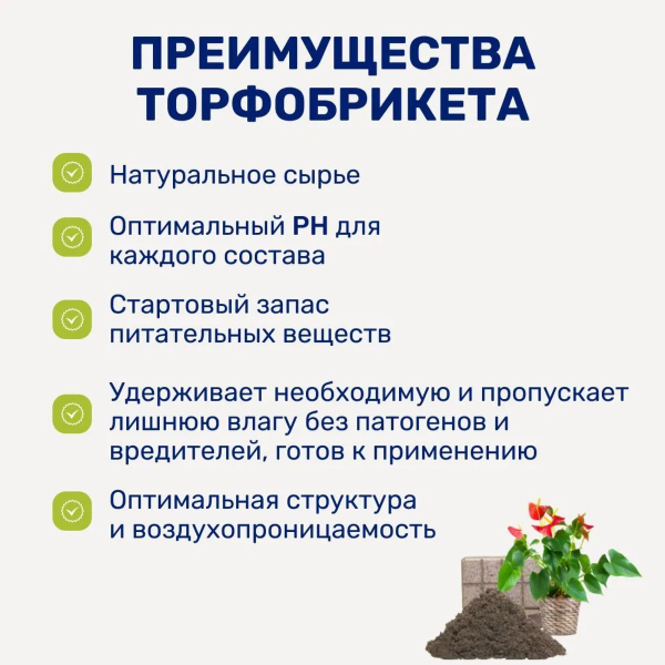 Почвобрикет БиоМастер Универсальный, 40л
