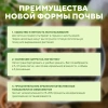 Почвобрикет БиоМастер Чудный лимон, 5л
