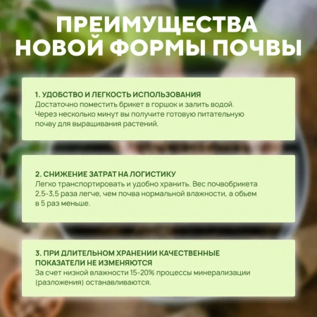 Почвобрикет БиоМастер Чудный лимон, 5л